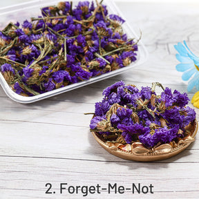 Decorative Boxed Dried Preserved Flowers sku-2