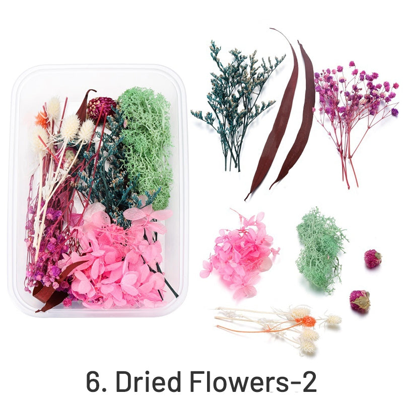 Decorative Boxed Dried Preserved Flowers sku-6