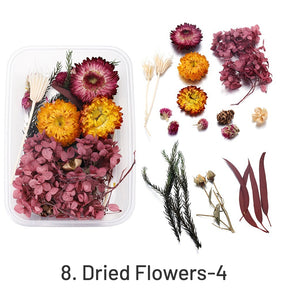 Decorative Boxed Dried Preserved Flowers sku-8