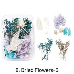 Decorative Boxed Dried Preserved Flowers sku-9