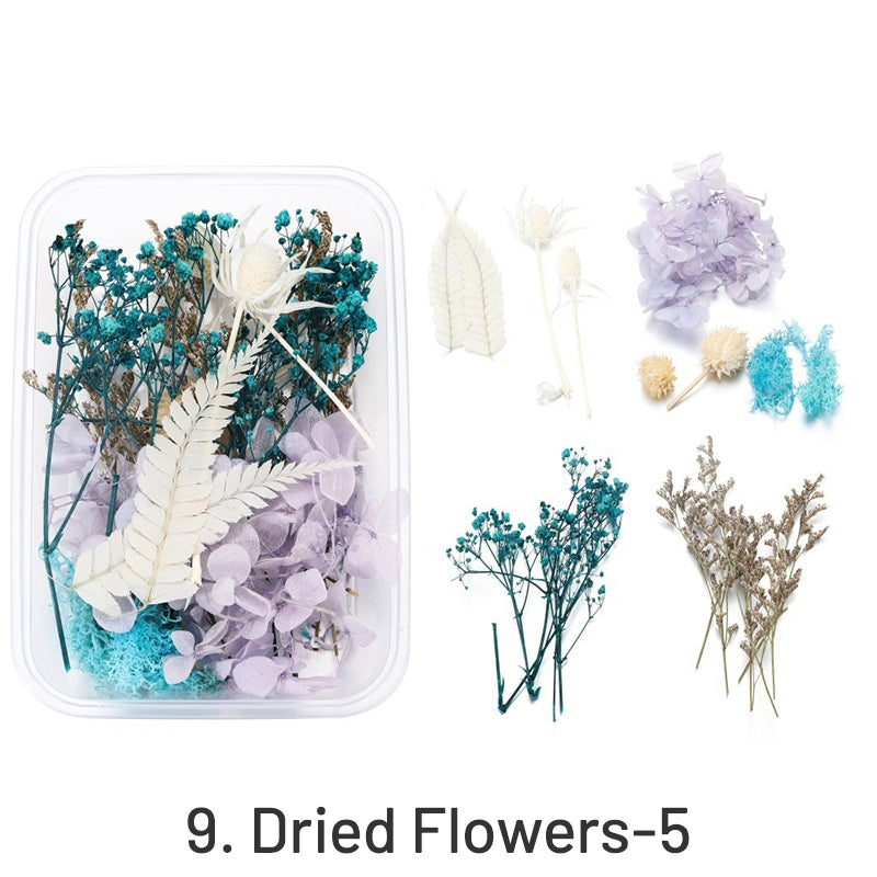 Decorative Boxed Dried Preserved Flowers sku-9