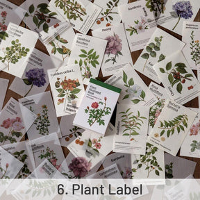 Simple Botanical Decorative Note Paper sku-6