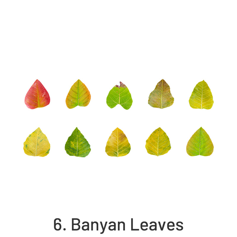 Creative Fallen Leaves Decorative Washi Tape Sticker sku-6