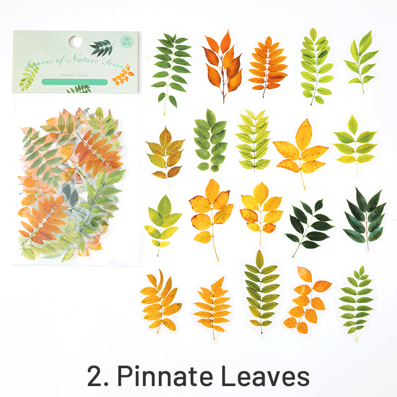 Nature Series Plant Leaves PET Sticker Pack sku-2