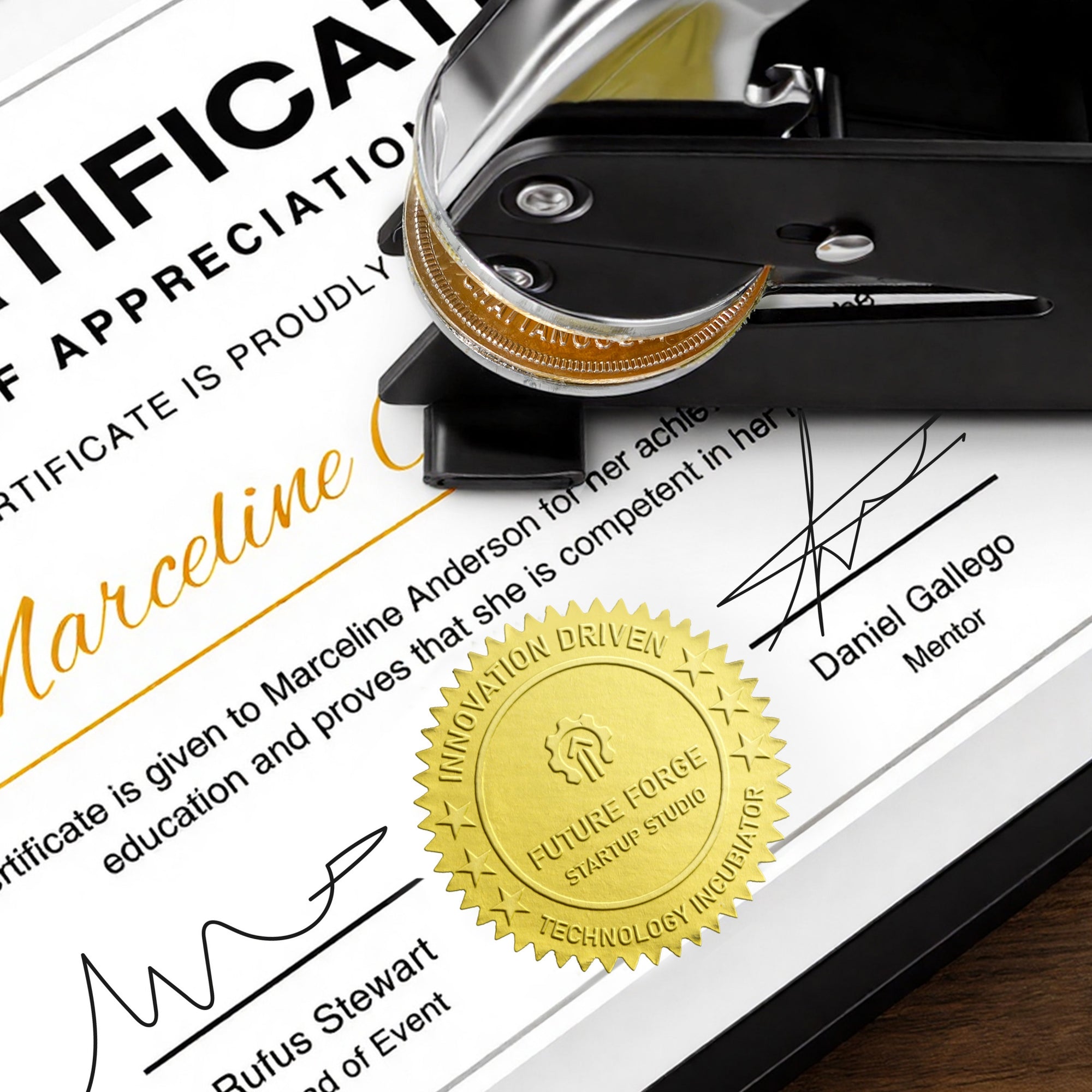 Custom Industry Official Seal Desktop Embosser 11