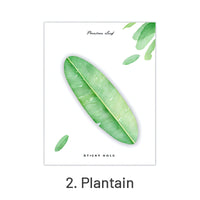 2. Plantain