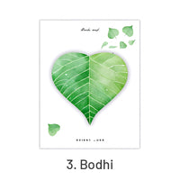 3. Bodhi