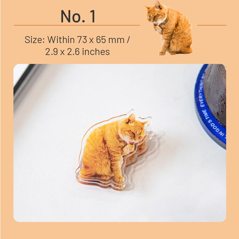 Adorable Cat Acrylic Clips sku-1