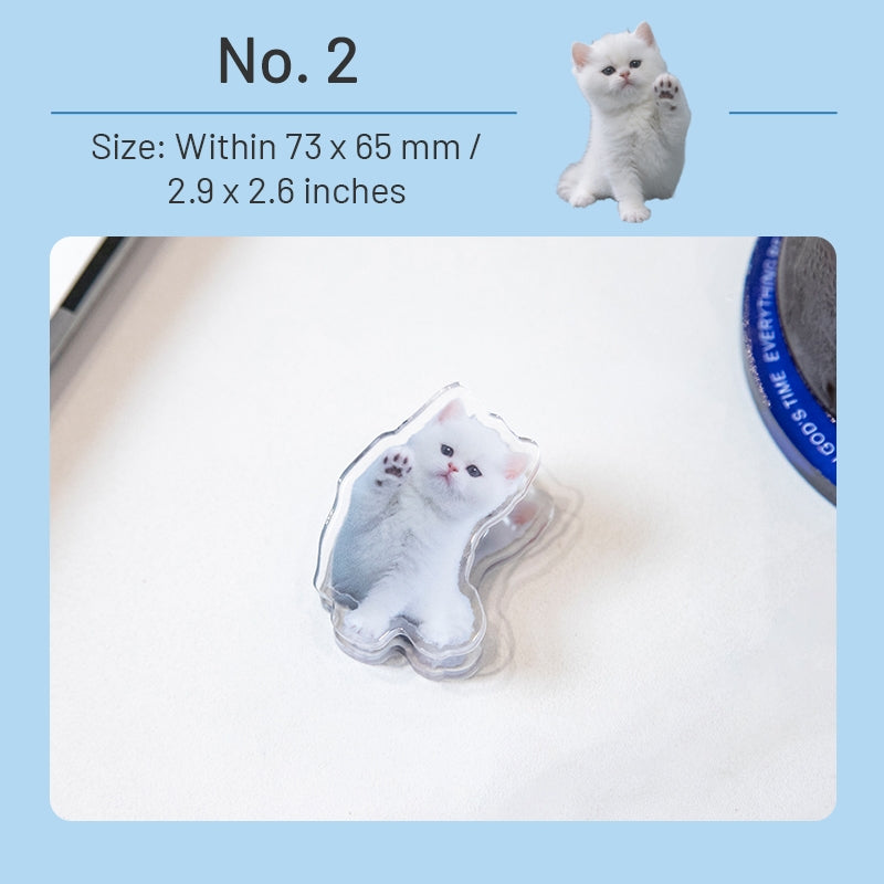 Adorable Cat Acrylic Clips sku-2