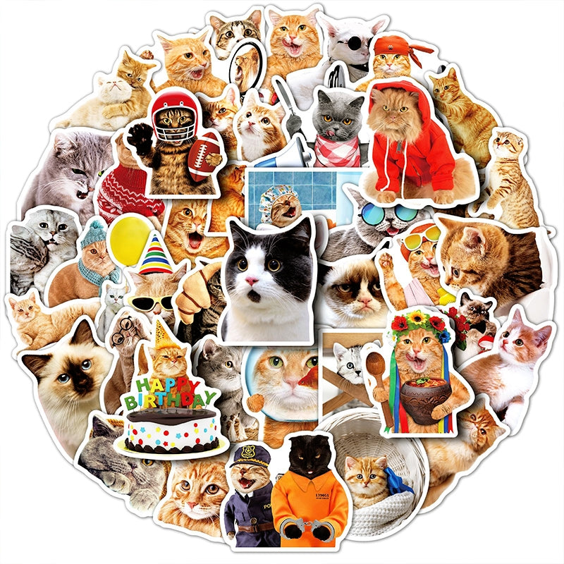 Cat Sticker Professional Cat Collection Realistic Expression Vinyl Stickers - Lifelike Vinyl Cat ...