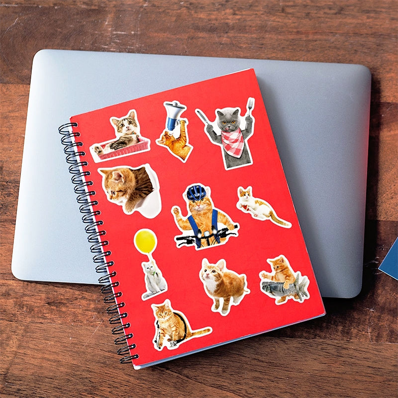 Realistic Cat Expression Vinyl Stickers | Stamprints