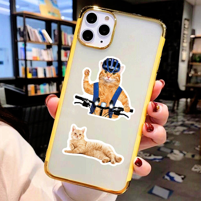 Cat Collection Realistic Expression Vinyl Stickers3