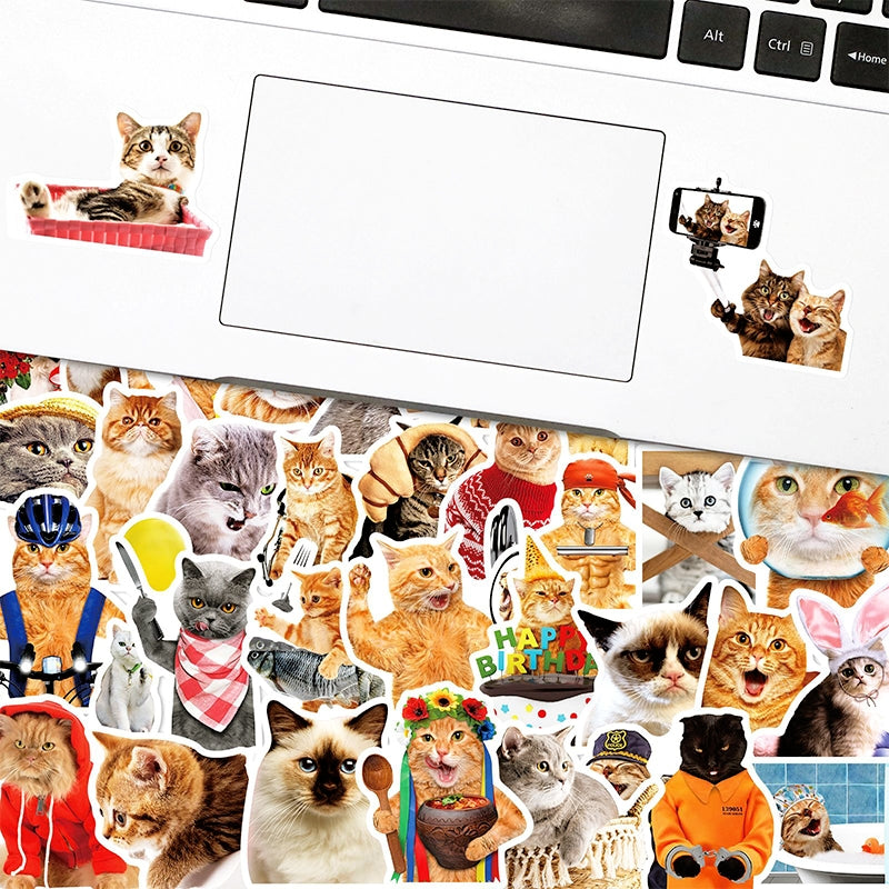 Cat Collection Realistic Expression Vinyl Stickers1