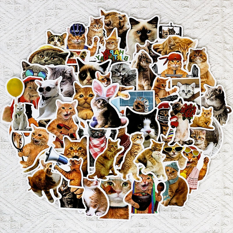 Cat Collection Realistic Expression Vinyl Stickers4