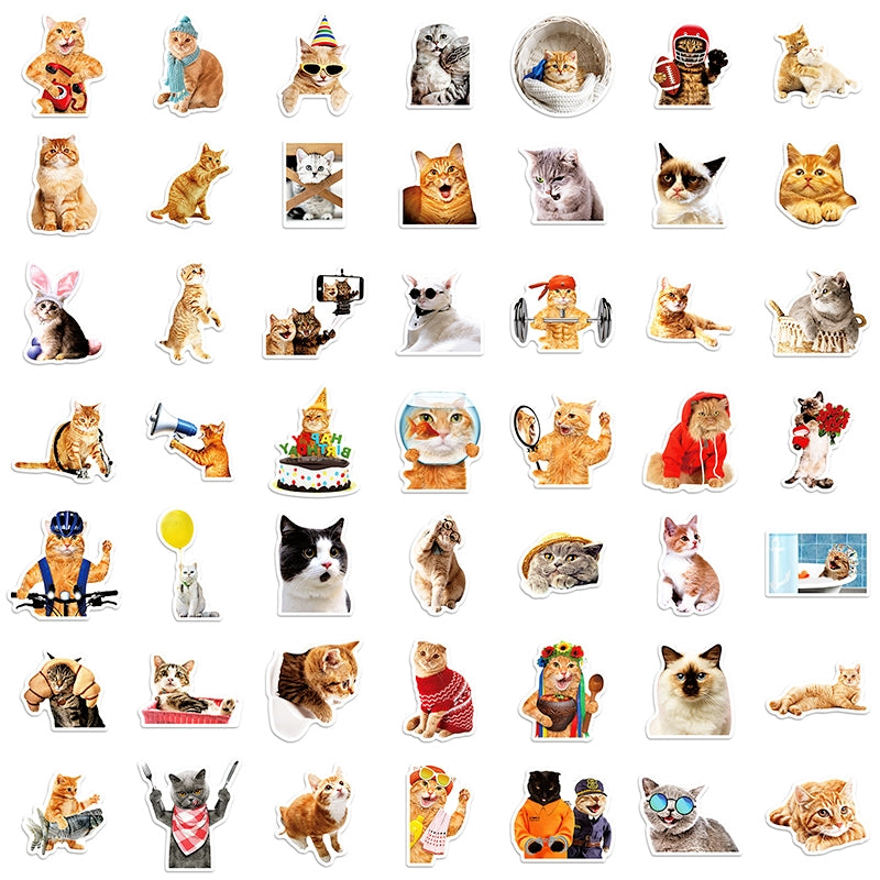 Cat Collection Realistic Expression Vinyl Stickers5
