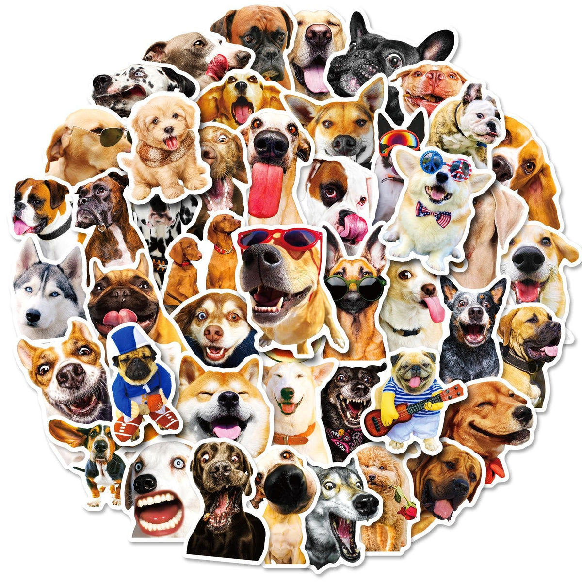 Adorable Pet Collection Realistic Dog Expression Stickers a