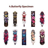 4.Butterfly Specimen