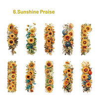 6.Sunshine Praise