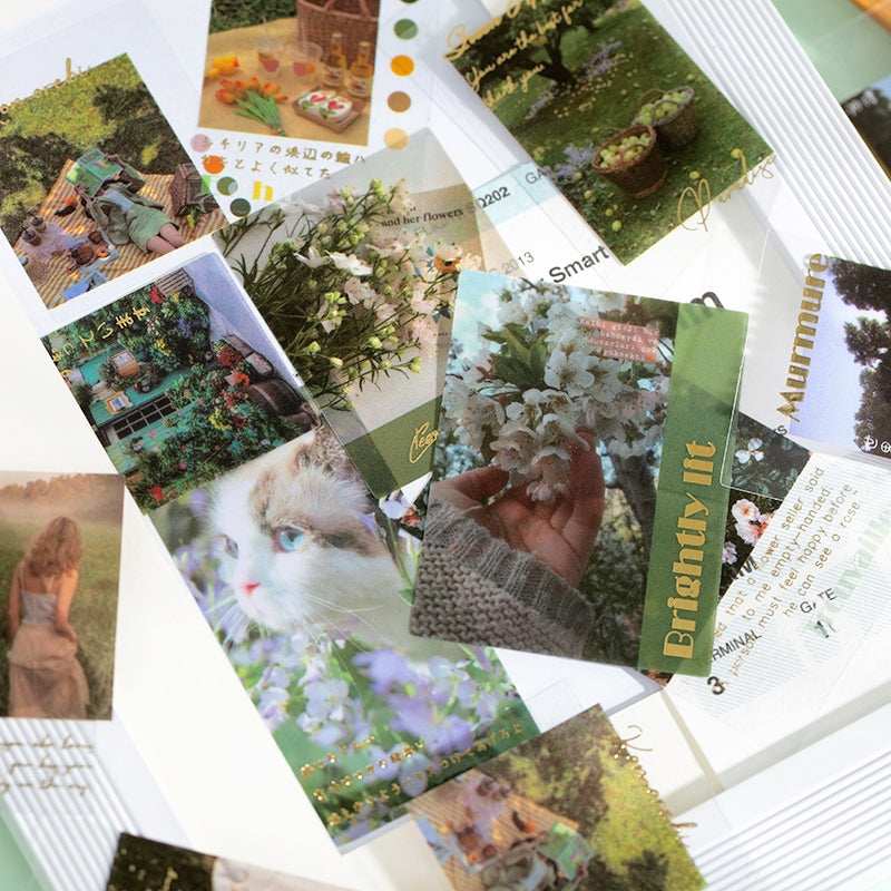 Artistic Landscape Photo PET Stickers b2