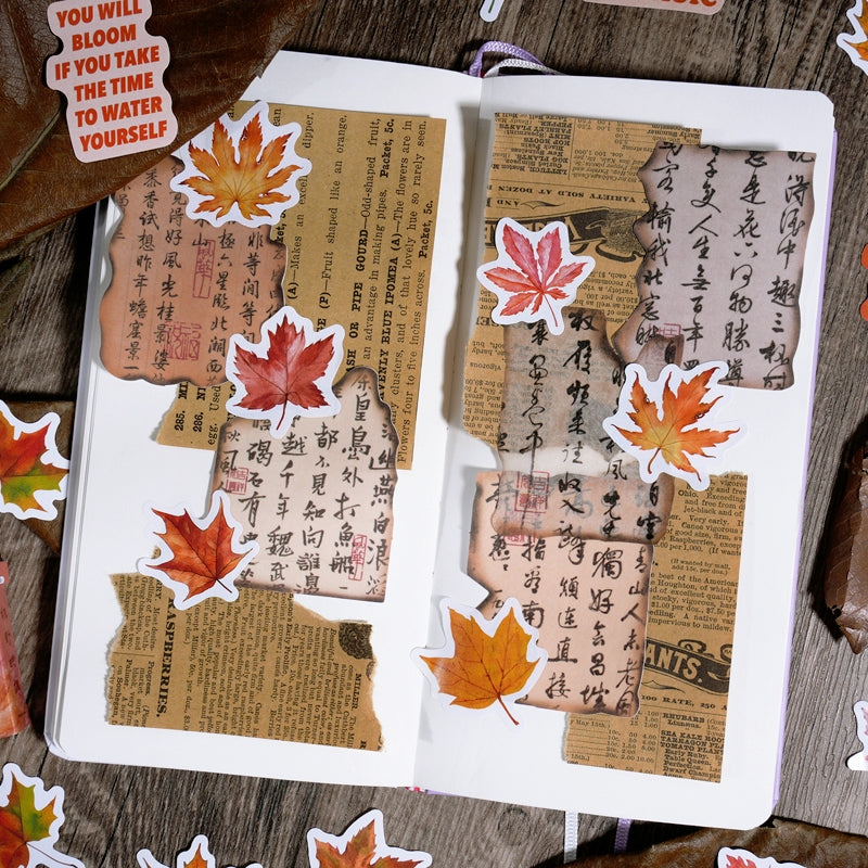 Autumn Leaf Adhesive Stickers b6