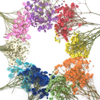 10. Complete Set (10% OFF)