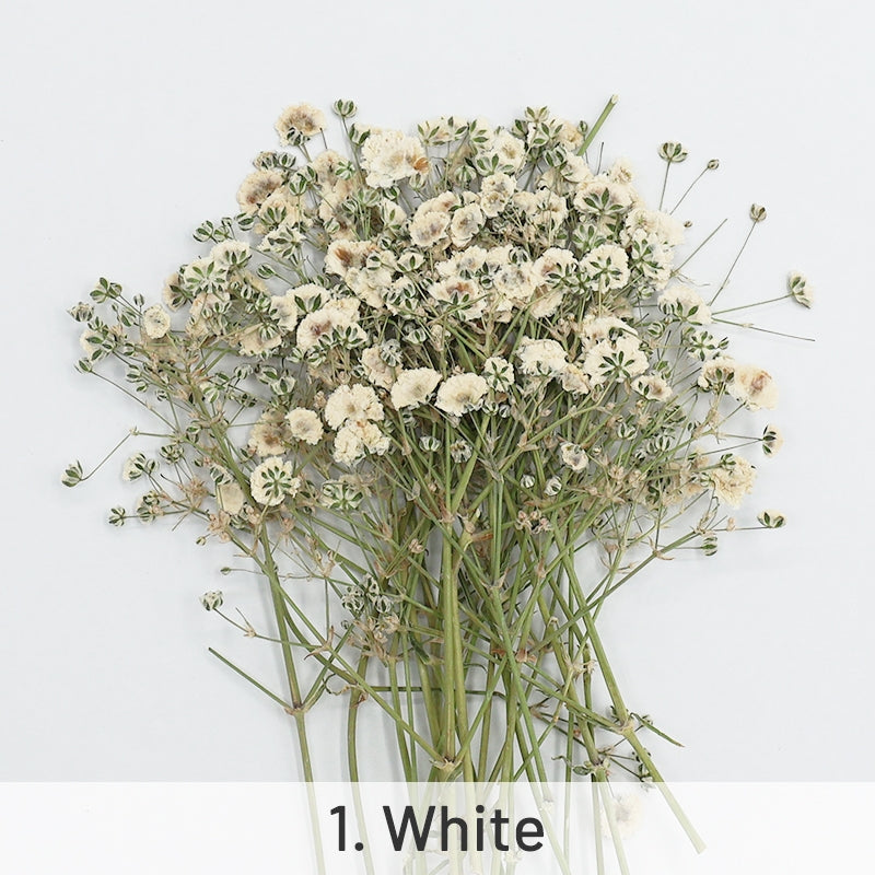 1 Pack Natural Dried Flowers Baby's Breath Craft DIY Jewelry