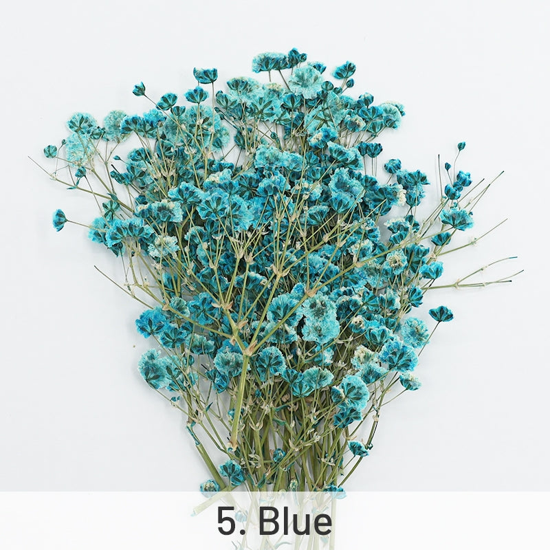Preserved babysbreath dry flowers for candle making
