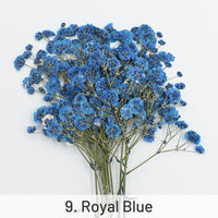 9. Royal Blue