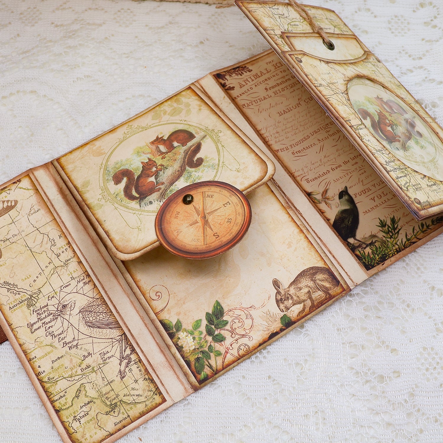 Back to Nature Mini Folio Botanical Booklet Handmade Craft Kit Back to Nature Mini Folio Botanical Booklet Handmade Craft Kit 2