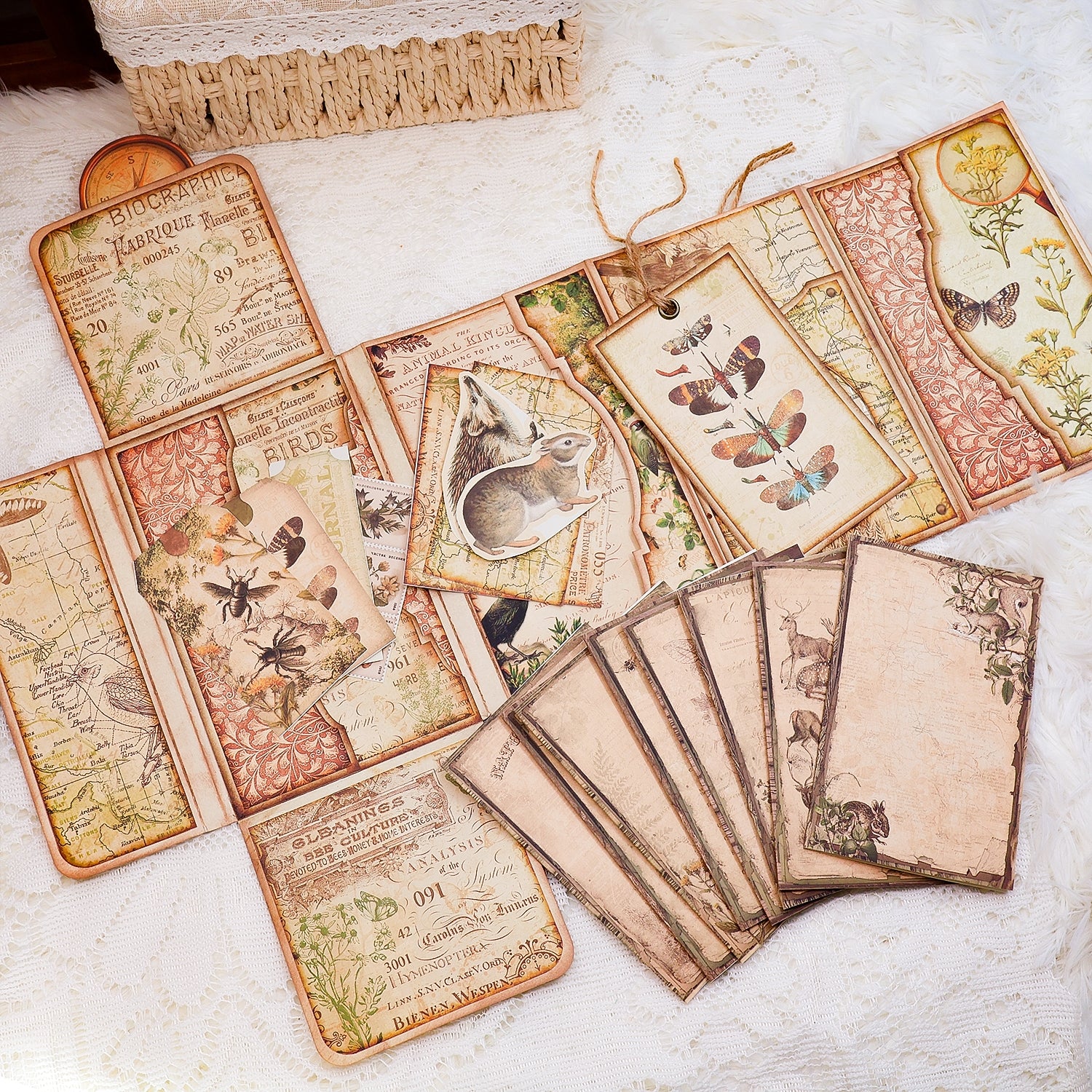 Back to Nature Mini Folio Botanical Booklet Handmade Craft Kit Back to Nature Mini Folio Botanical Booklet Handmade Craft Kit 4