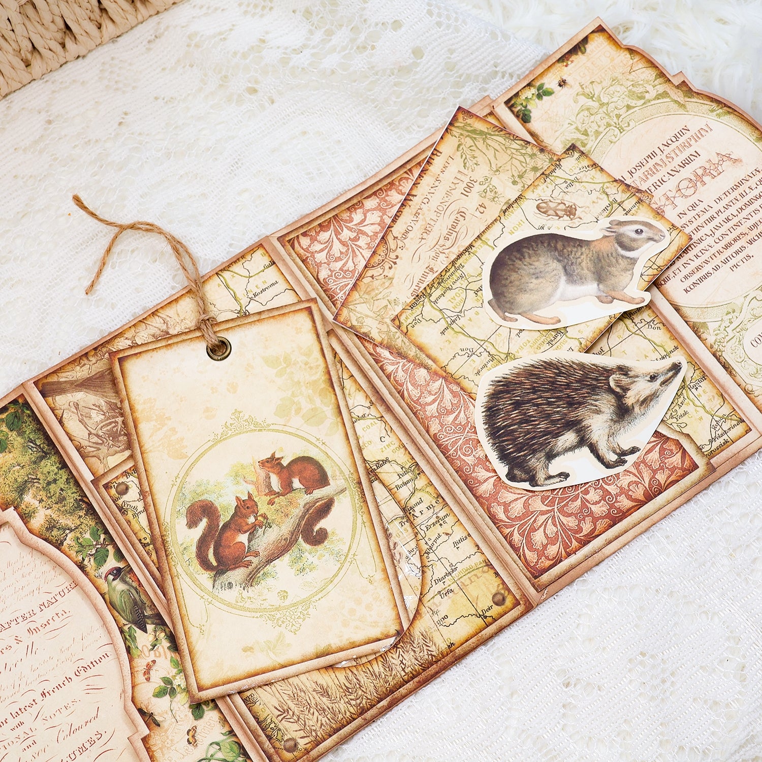 Back to Nature Mini Folio Botanical Booklet Handmade Craft Kit Back to Nature Mini Folio Botanical Booklet Handmade Craft Kit 7