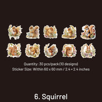 6. Squirrel