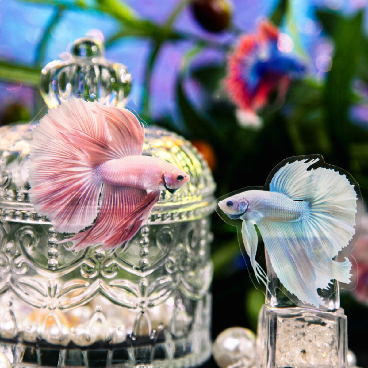 Betta Series Ocean Material Decorative Stickers4