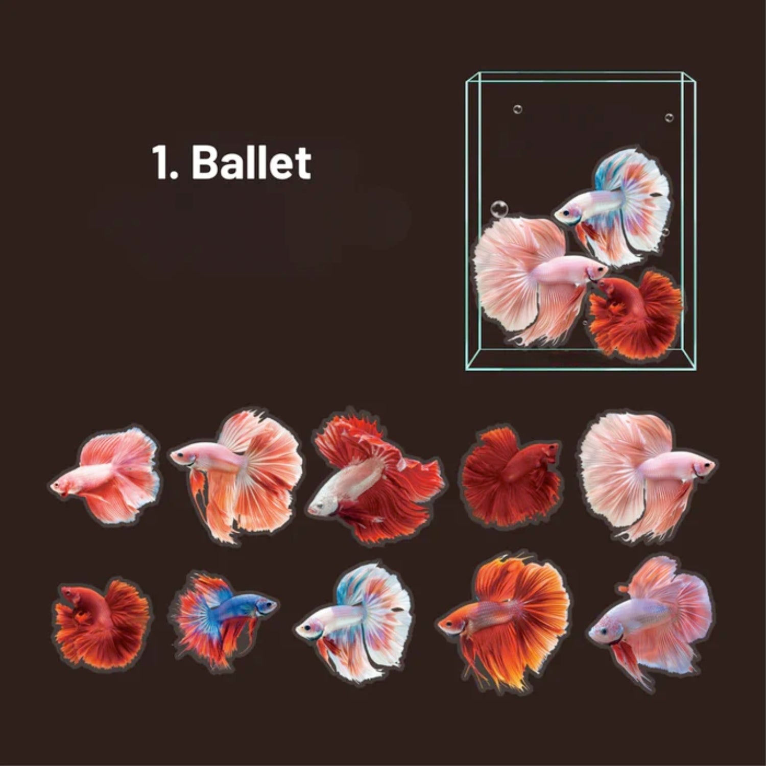 Betta Series Ocean Material Decorative Stickers92