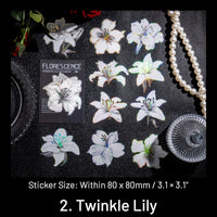 2. Twinkle Lily