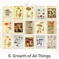 6. Growth of All Things