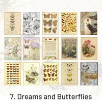 7. Dreams and Butterflies