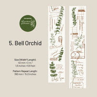 5. Bell Orchid