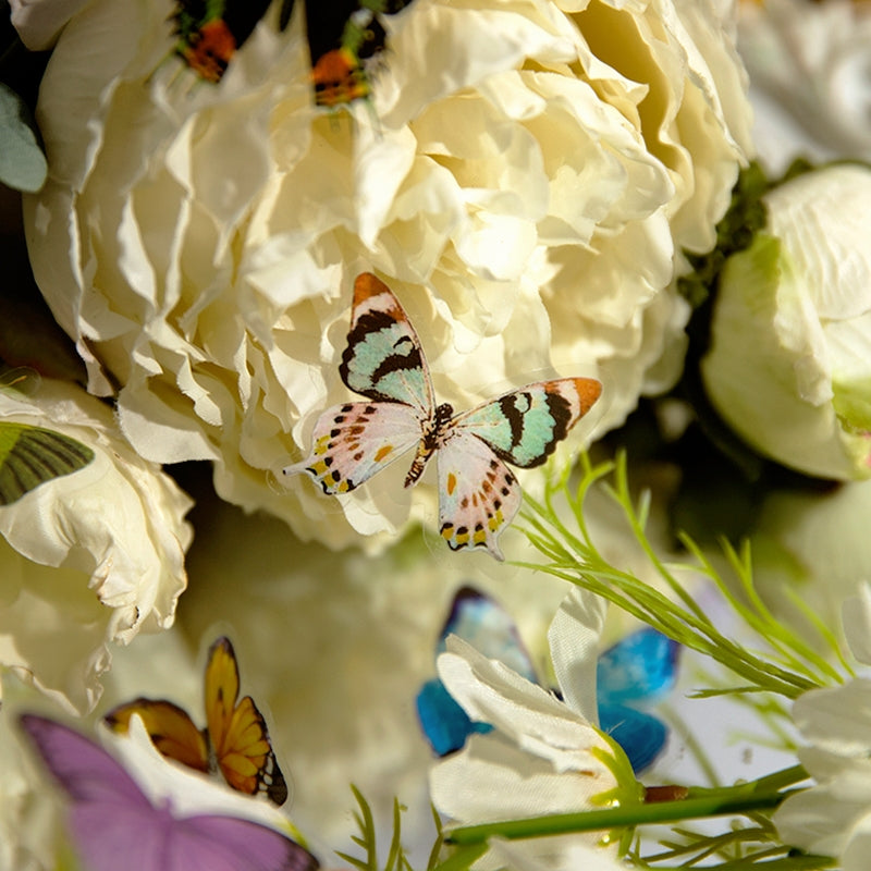 Butterfly Shadow Herbarium Series Stickers c