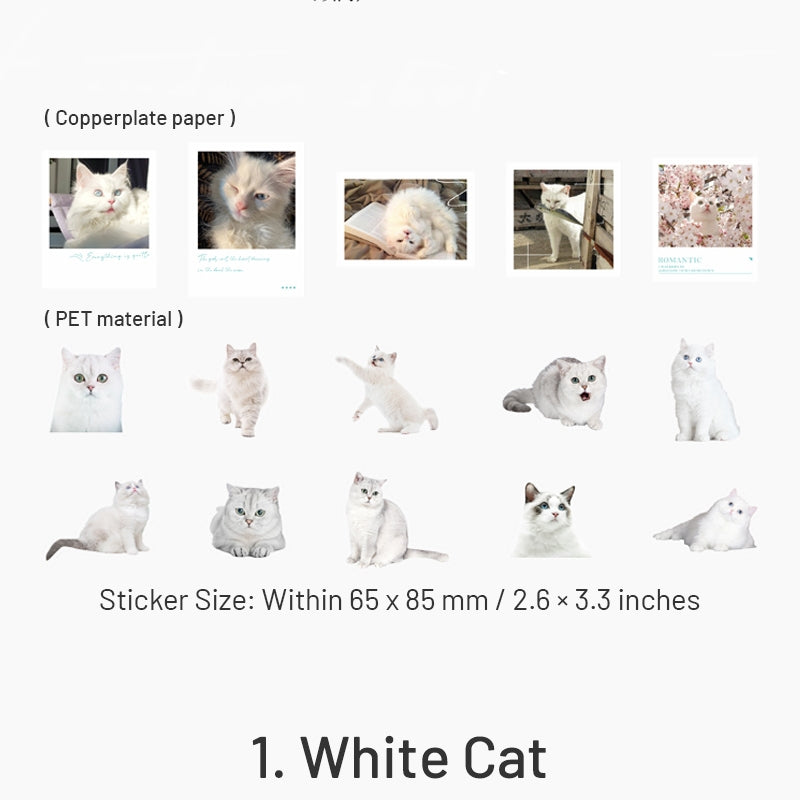Cat Themed Die Cut PET Stickers7
