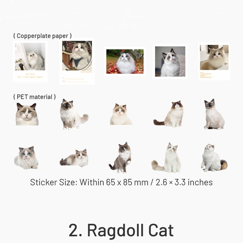 Capturing Cat Cuteness PET Stickers sku-2