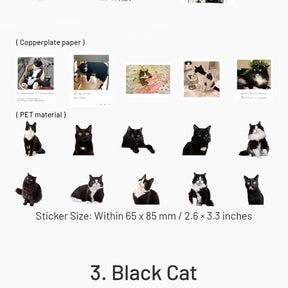 Capturing Cat Cuteness PET Stickers sku-3
