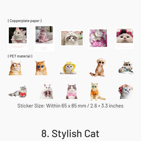 Capturing Cat Cuteness PET Stickers sku-8