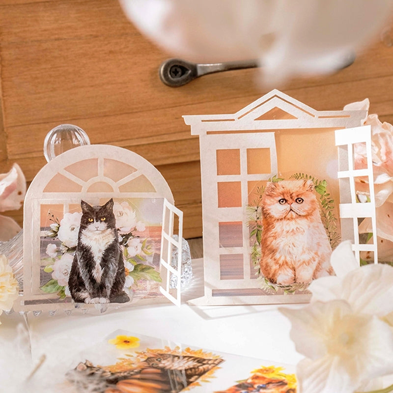Cat Adventure Series PET Stickers b