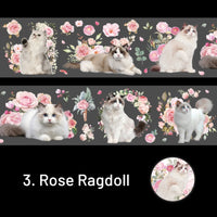 3. Rose Ragdoll