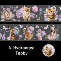 4. Hydrangea Tabby