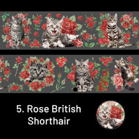 5. Rose British Shorthair