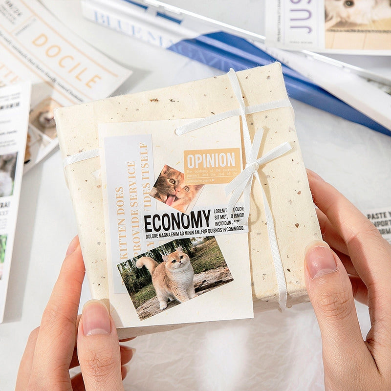 Cat Pictorial Series Cat Sticker Book b