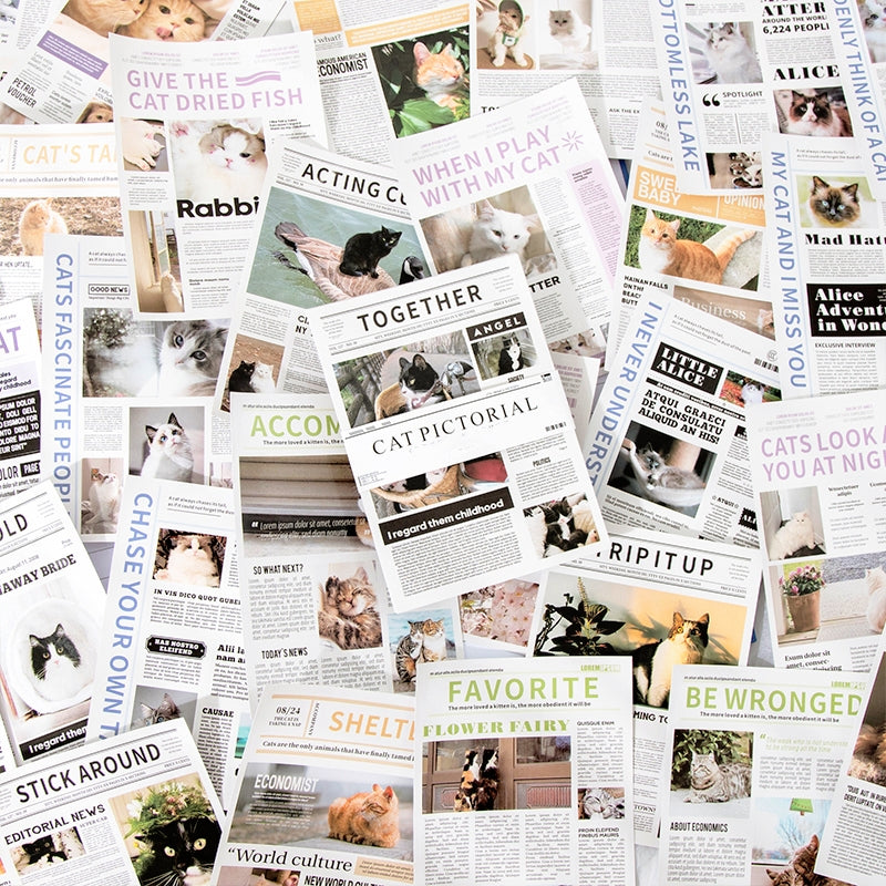 Cat Pictorial Series Cat Sticker Book b2