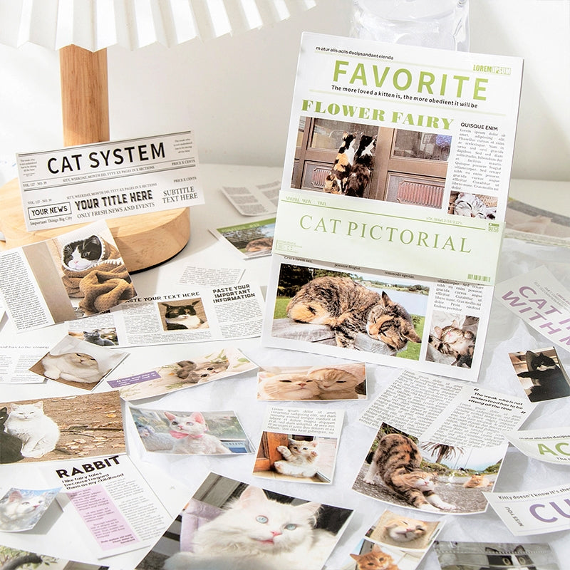 Cat Pictorial Series Cat Sticker Book b3